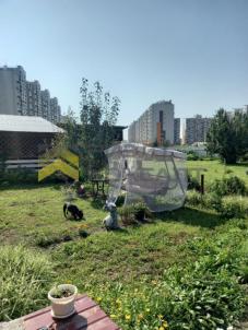 Продажа дома Омск.&nbsp;Омская область, Омск, территория СОСН Патриот, 241