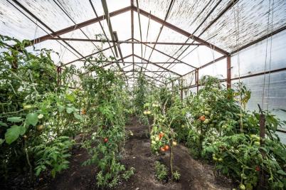 Продажа дома Омский р-н.&nbsp;Бородинка.&nbsp;Гагарина ул, 12