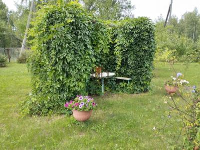 Продажа дачи Марьяновский.&nbsp;Степное.&nbsp;.&nbsp;Степное