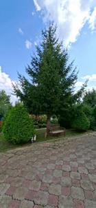 Продажа дачи Омск.&nbsp;СНТ Красная горка