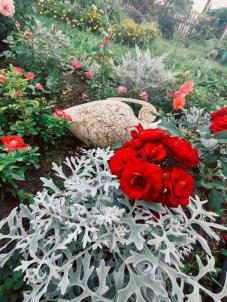 Продажа дачи Омск.&nbsp;СТ ШИННИК-3