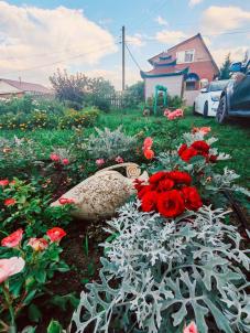 Продажа дачи Омск.&nbsp;СТ ШИННИК-3