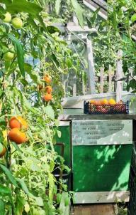 Продажа дачи Омск.&nbsp;СТ ШИННИК-3