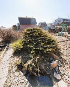 Продажа дачи Омск.&nbsp;г Омск, тер.СОСН Космос, уч 184