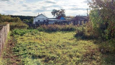 Продажа земли Любинский район Островского