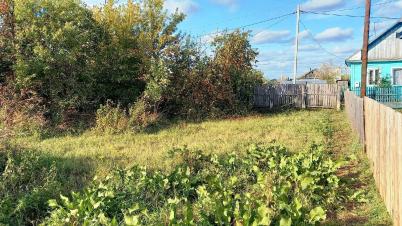 Продажа земли Любинский район Островского