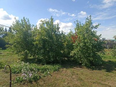 Продажа дома Калачинский р-н.&nbsp;Сорочино с.&nbsp;Береговая ул, 47