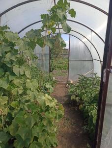 Продажа дома Калачинский р-н.&nbsp;Сорочино с.&nbsp;Береговая ул, 47