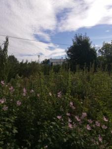 Продажа дачи Омск.&nbsp;СОСН Амурский, 4-я аллея, 23