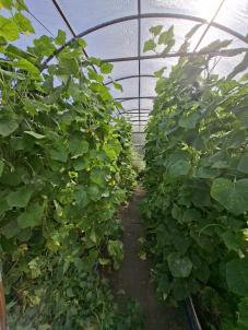Продажа дома с. Морозовка, ул. Придорожная