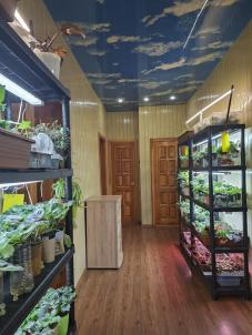 Продажа дома с. Морозовка, ул. Придорожная