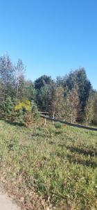 Продажа дачи Омская область, Омский район, СНТ Междуречье, 90