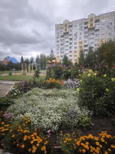 Продажа квартиры Омск.&nbsp;улица Ядринцева 26