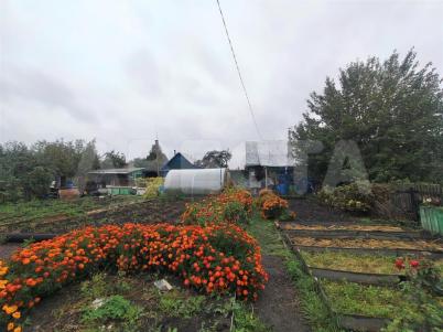 Продажа квартиры Омск.&nbsp;СНТ Содружество-2, 116