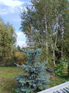 Продажа квартиры Омск.&nbsp;.&nbsp;Омский, СНТ 