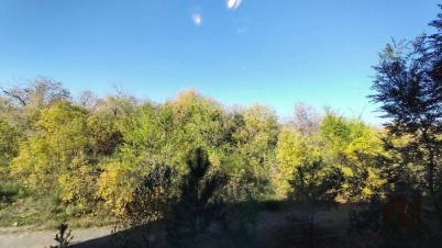 Продажа квартиры Омский р-н.&nbsp;Лузино с.&nbsp;Майорова ул, 38