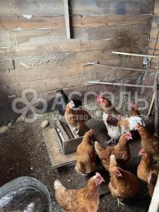 Продажа дома ул. Мира,69а